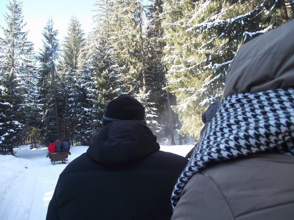 Cabana Piatra Runcului Vatra Moldoviţei Exteriör bild