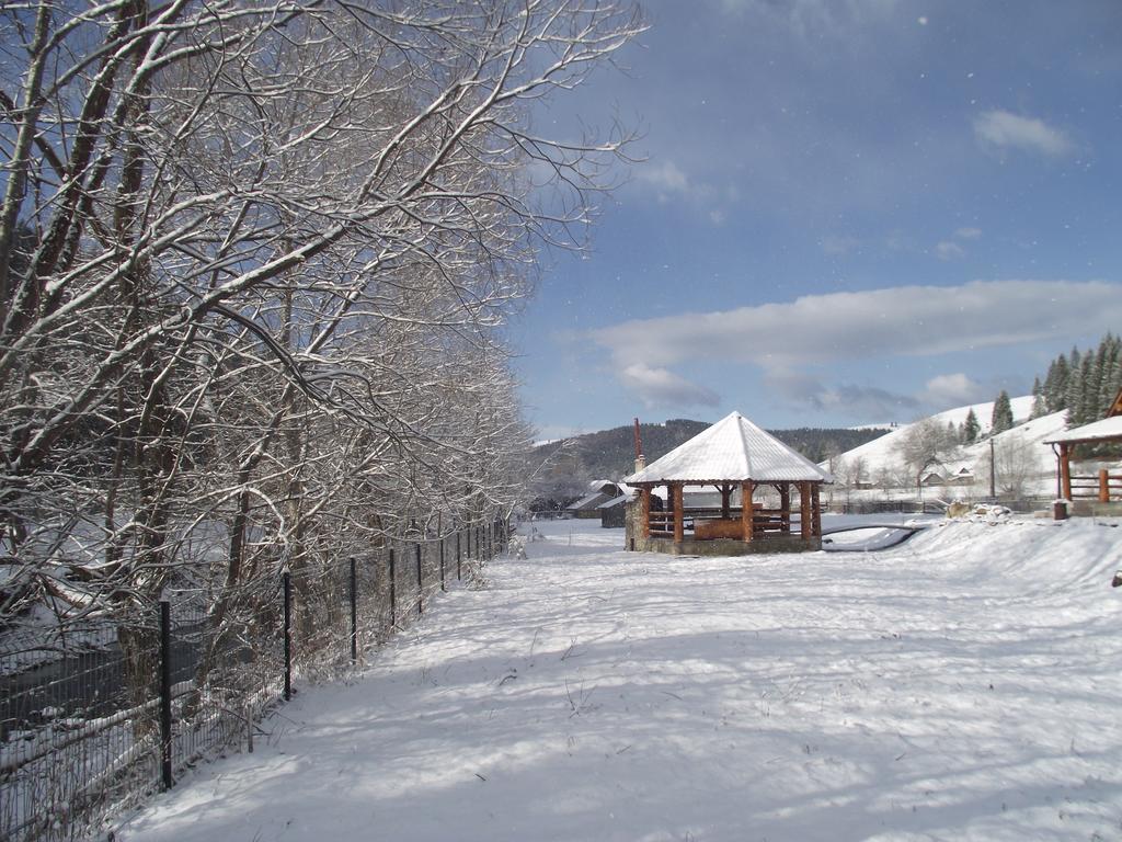 Cabana Piatra Runcului Vatra Moldoviţei Exteriör bild