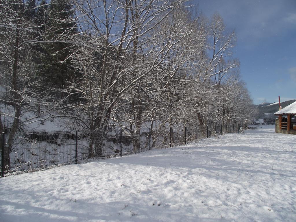 Cabana Piatra Runcului Vatra Moldoviţei Exteriör bild