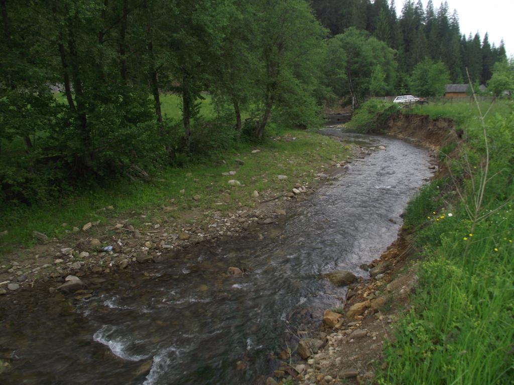 Cabana Piatra Runcului Vatra Moldoviţei Exteriör bild