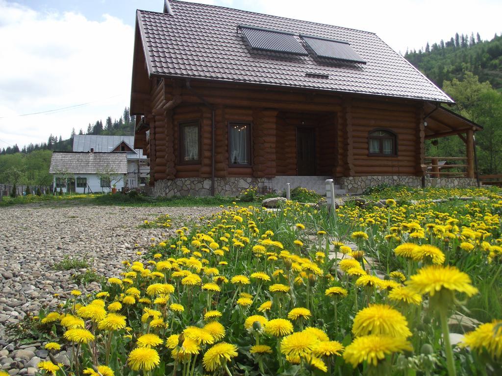 Cabana Piatra Runcului Vatra Moldoviţei Exteriör bild