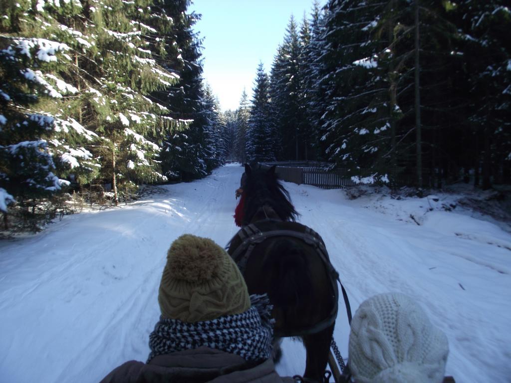 Cabana Piatra Runcului Vatra Moldoviţei Exteriör bild