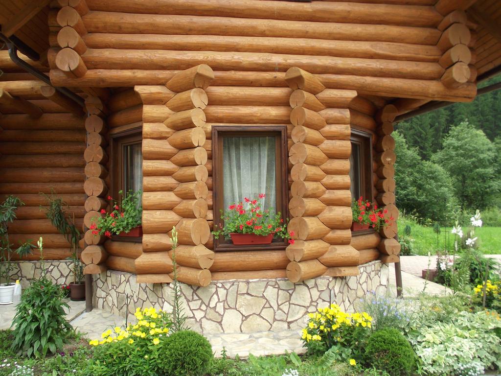 Cabana Piatra Runcului Vatra Moldoviţei Exteriör bild