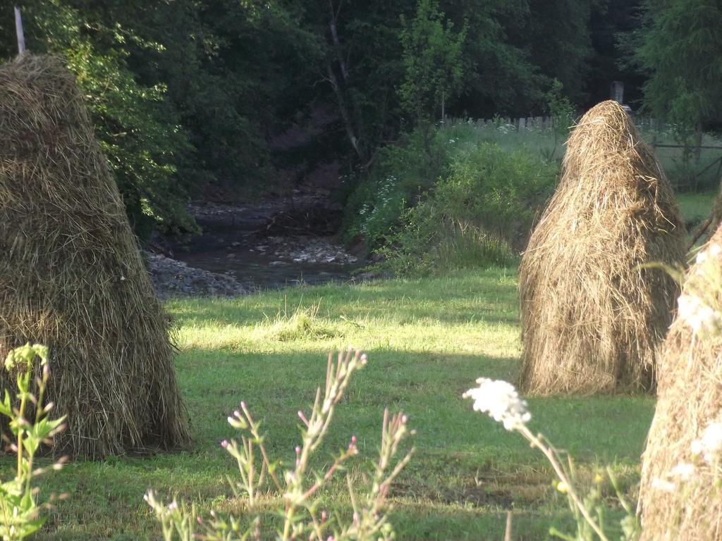 Cabana Piatra Runcului Vatra Moldoviţei Exteriör bild