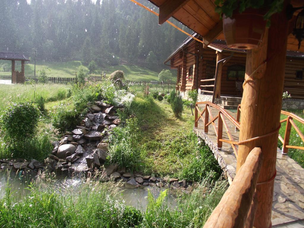Cabana Piatra Runcului Vatra Moldoviţei Exteriör bild