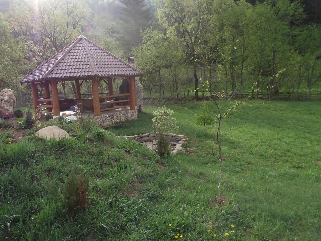 Cabana Piatra Runcului Vatra Moldoviţei Exteriör bild