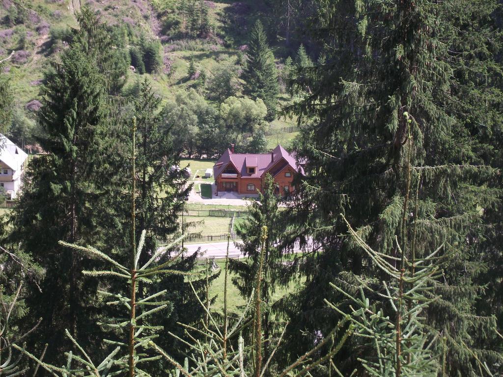 Cabana Piatra Runcului Vatra Moldoviţei Exteriör bild